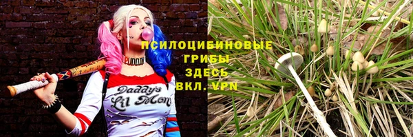 крисы Абинск