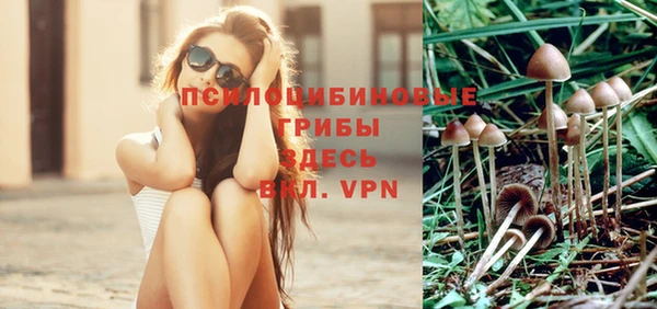крисы Абинск