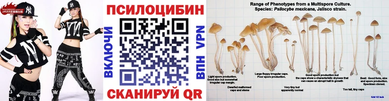 Псилоцибиновые грибы MAGIC MUSHROOMS дарк нет клад Гагарин где можно купить наркотик